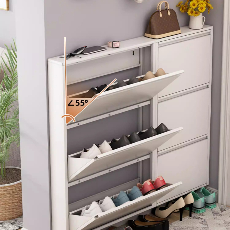 Modern Slim Shoe Cabinet, Larg - Shoe Rack Cabinet Narrow Entryway ulasan dan harga